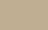 LB1N Reed Beige (бежевый неметаллик)