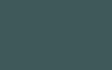LA6F Cactus Green (серо-зеленый неметаллик)
