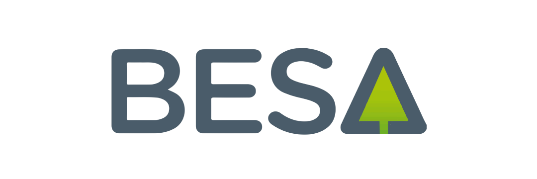 BESA
