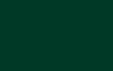DB 6464 Orchidgruen (темно-зеленый неметаллик)