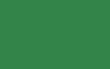 LA6C Evergreen (зеленый неметаллик)