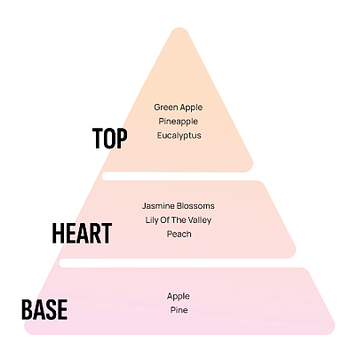 AREON ароматизатор воздуха Vent 7 на дефлектор Iceberg 4.5мл