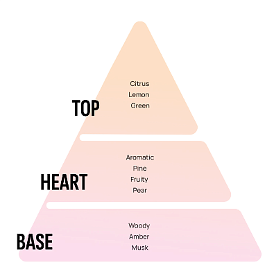 AREON ароматизатор воздуха Perfume Car & Home спрей Black Crystal 35мл