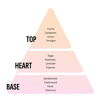 AREON ароматизатор воздуха Xperience подвесной New Car