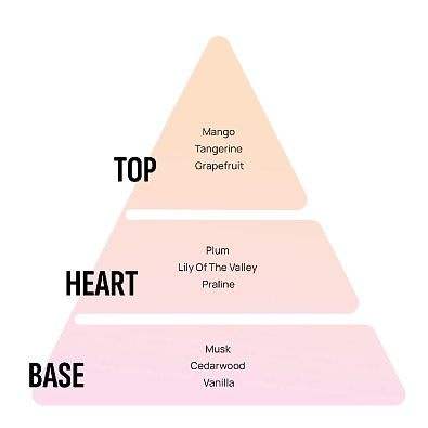 AREON ароматизатор воздуха X подвесной Summer Dream